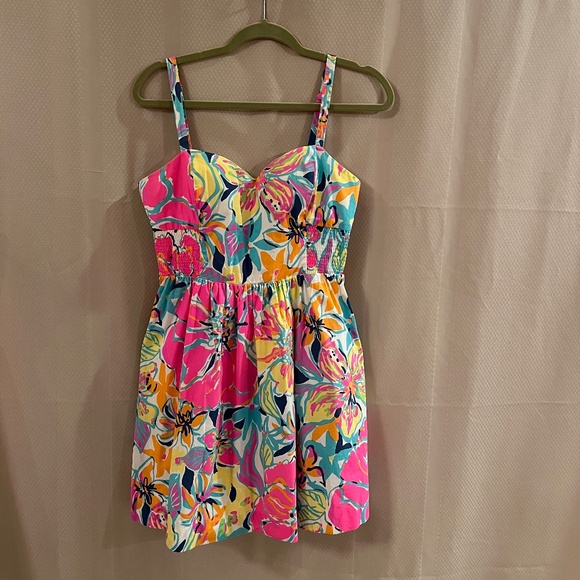 Lilly Pulitzer Christine Besame Mucho Smocked Poplin Fit & Flare Dress Sz10 - Picture 3 of 16